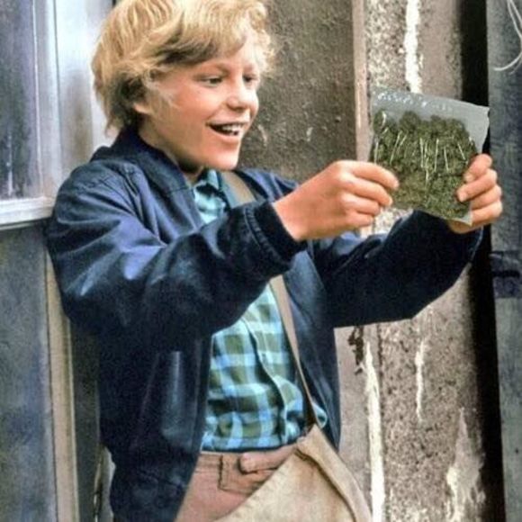 Meet your Posher, Eddie - Picture 1 of 1